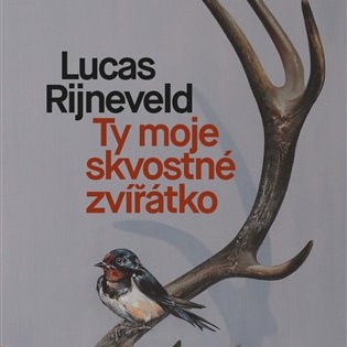 Ty moje skvostné zvířátko