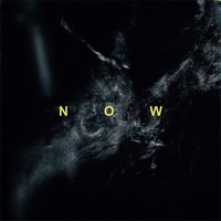Písničkář Vlčák známý z projektů Vivien´s Shadow či Out of silence vydává album Now