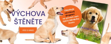vychova stenete soutez