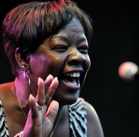 Americká zpěvačka Wanda Johnson rozsvítí festival Musica Holešov bluesovou hudbou