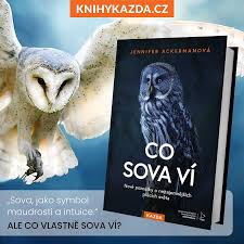 Co sova ví