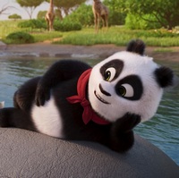 medvidek panda200