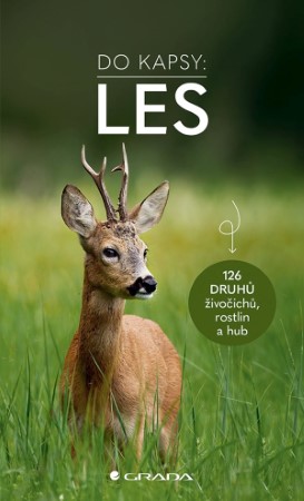 les do kapsy
