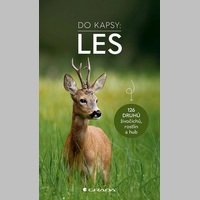 les do kapsy200