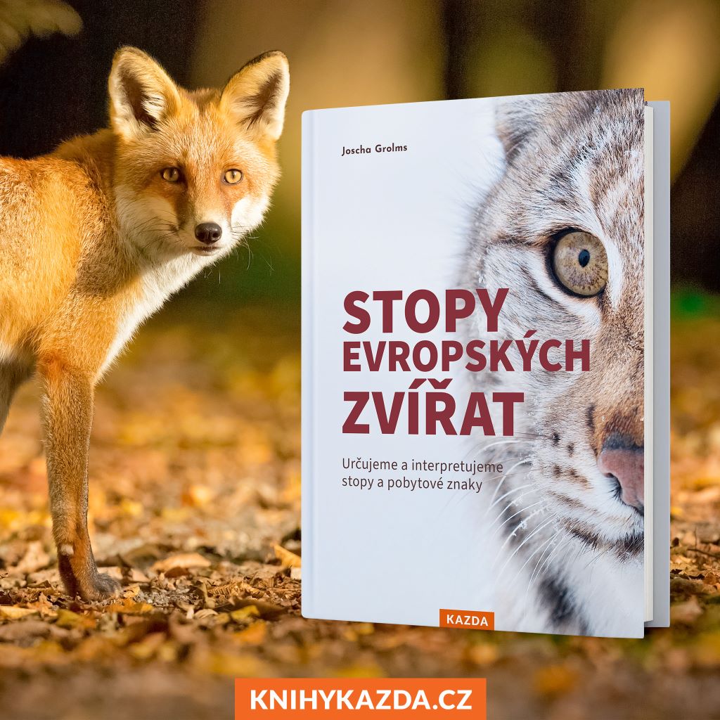 Monumentální publikace, která odhaluje tajemství, kolem kterých chodíme v přírodě většinou nevšímavě !
