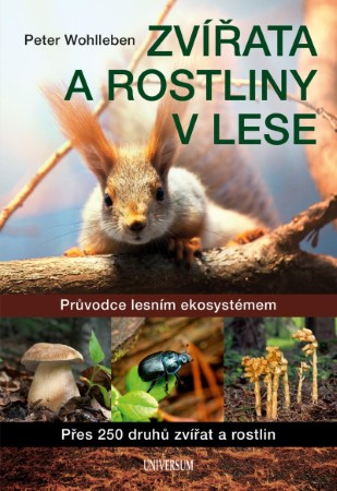 zvirata a rostliny v lese