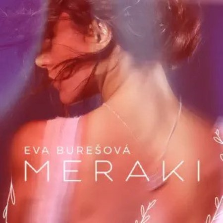 meraki cover