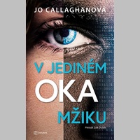 Neotřelá detektivka: V jediném okamžiku