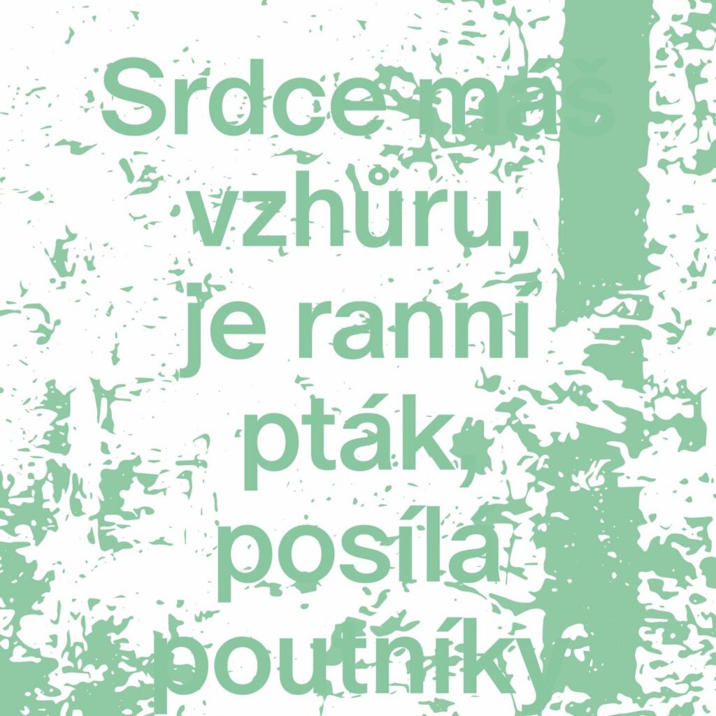 pani-lesP
