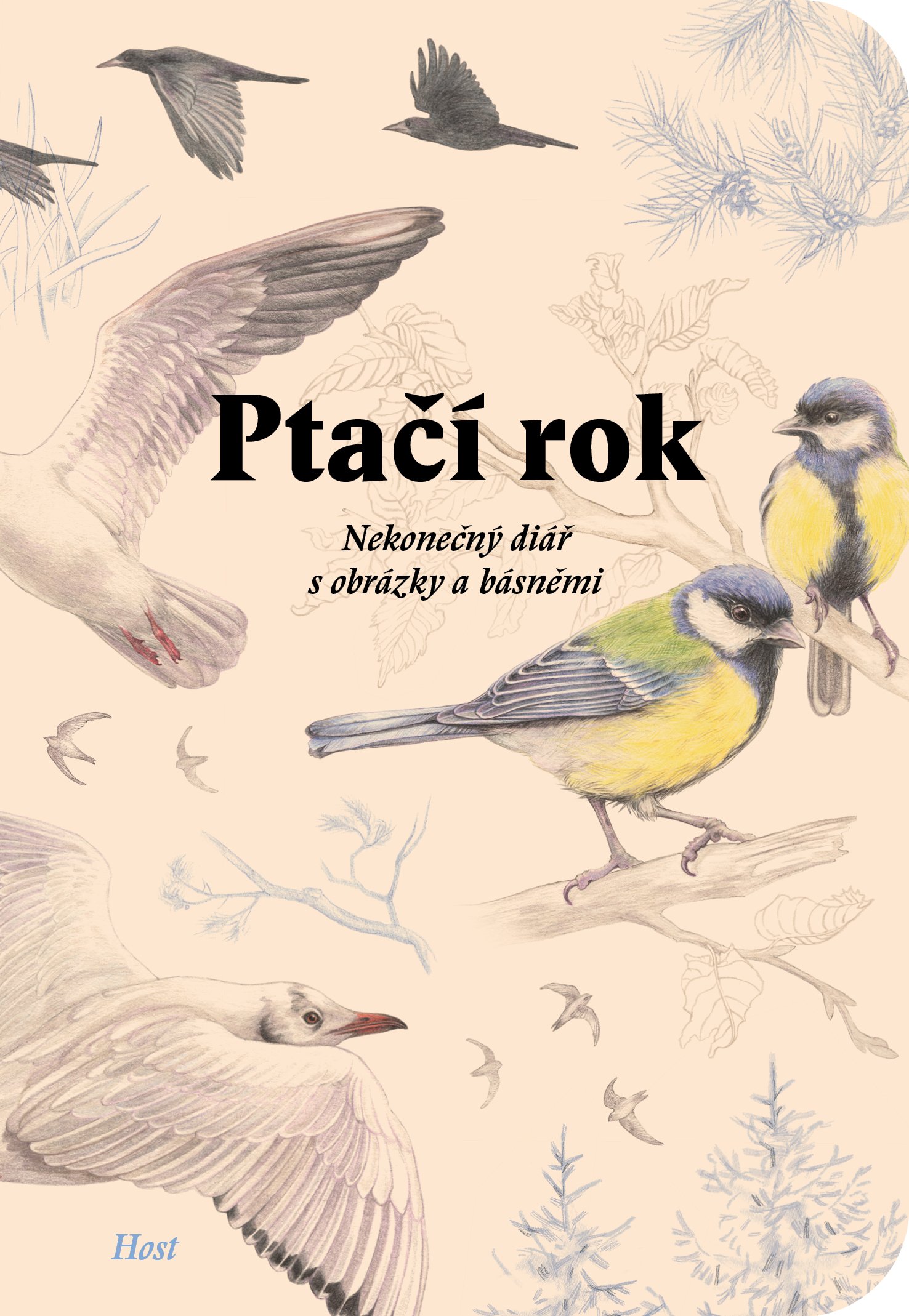 ptaci-rok
