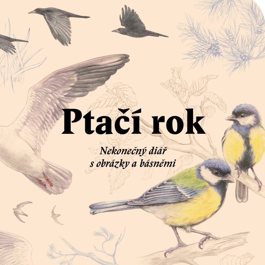 ptaci-rokP
