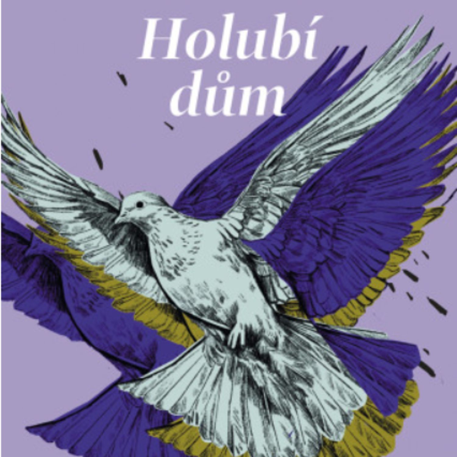 Mistrný román Holubí dům