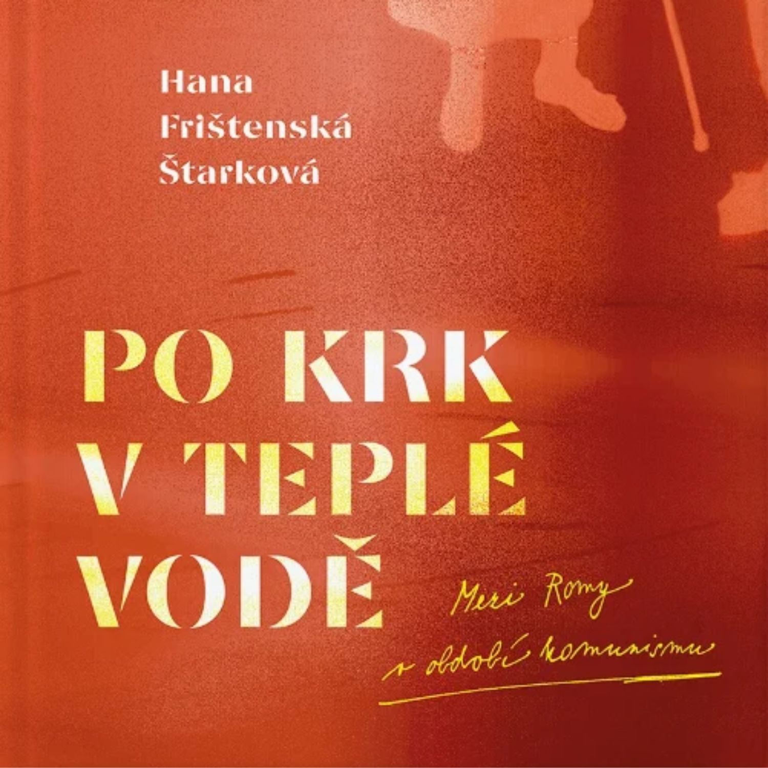 Po krk v teplé vodě. Jímavé příběhy romské kurátorky z dob socialismu