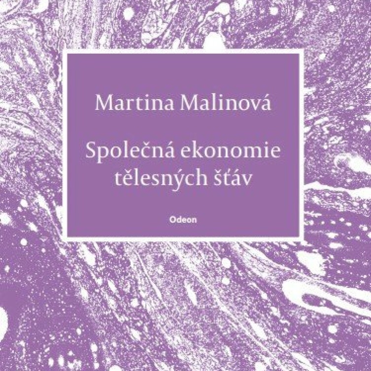 spolecna-ekonomie-telesnych-stav