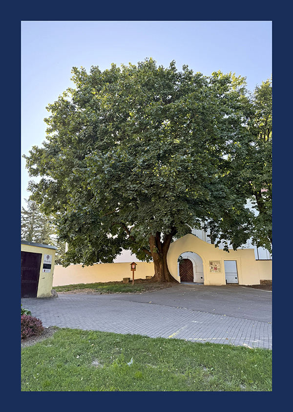 Malovany kraj 2025 5 36