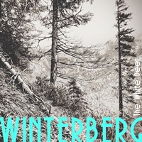 Winterberg ztracený ve vánici