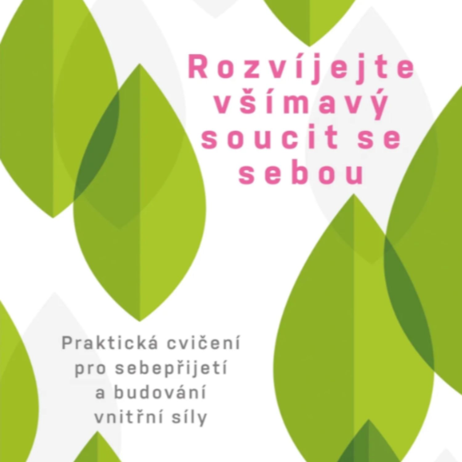 Kniha, co vám pomůže rozvíjet všímavý soucit se sebou