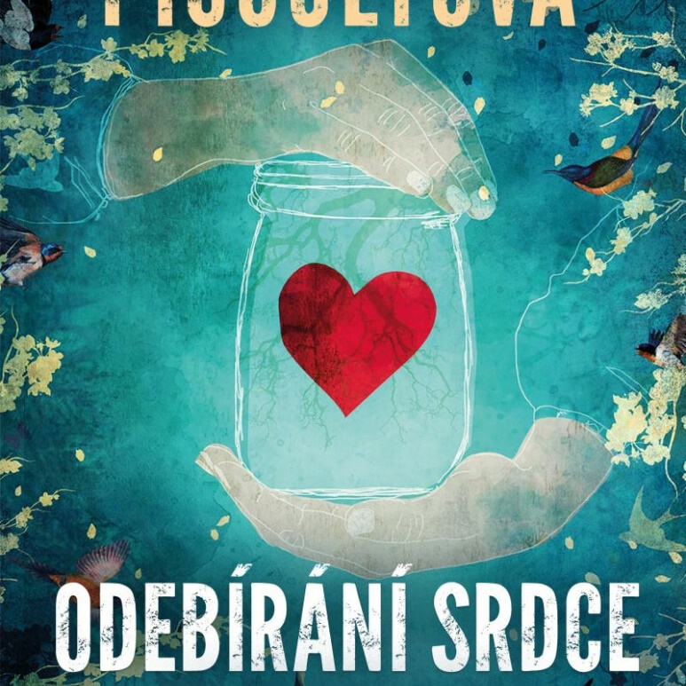 Odebírání srdce