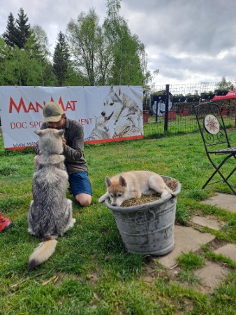 manmat foto 1