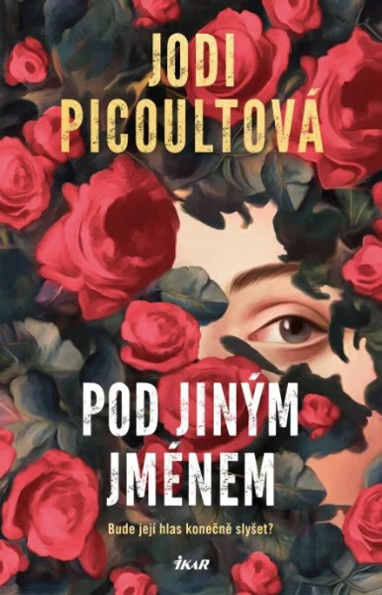 pod-jinym-jmenem