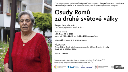 Osudy Romu plakat