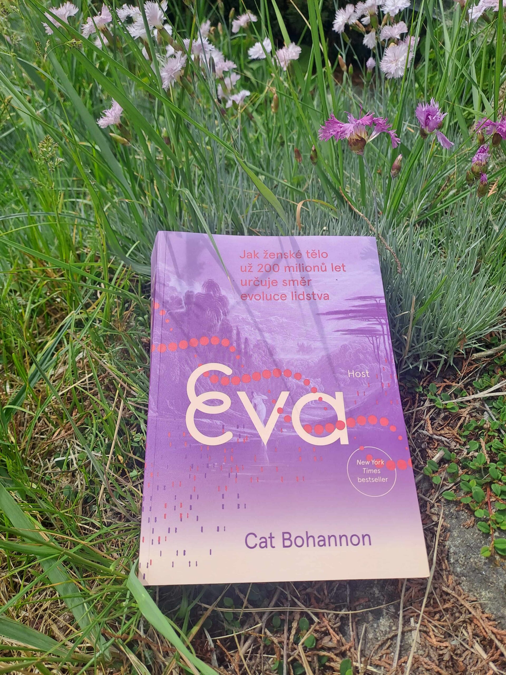 Eva 1