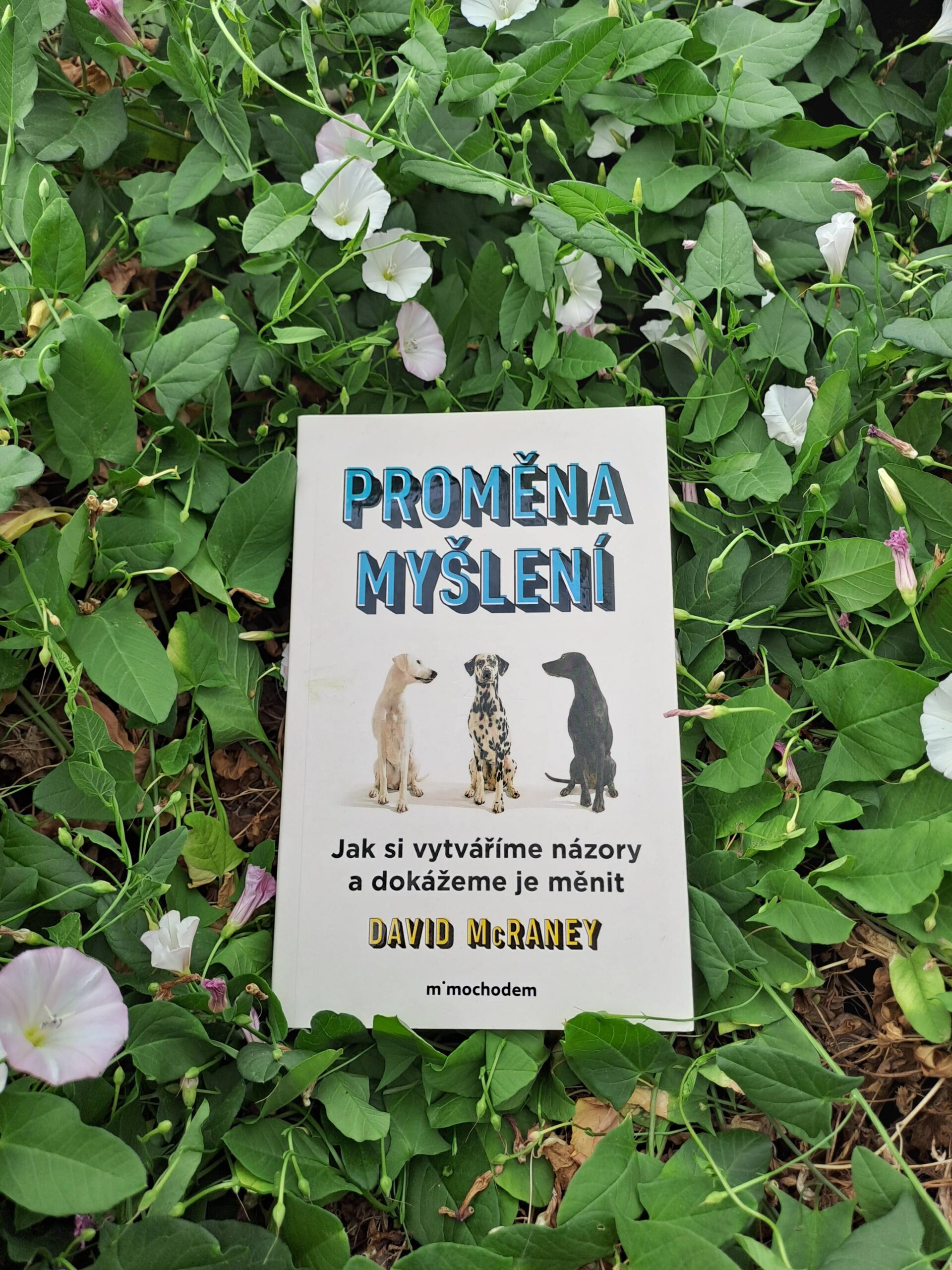 Proměna myšlení 1