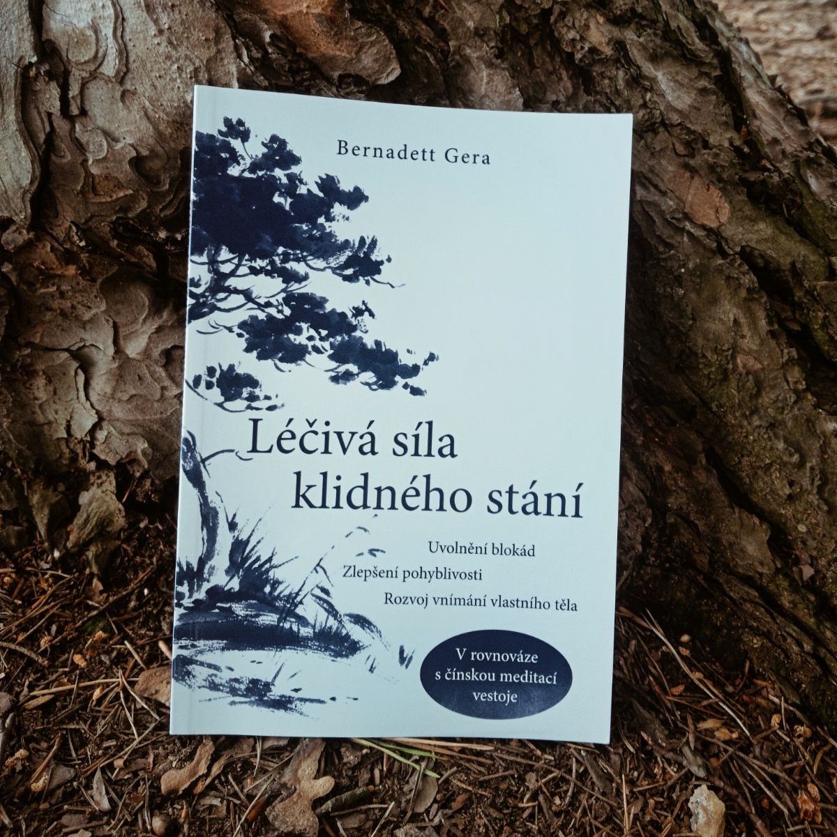 Léčivá síla klidného stání. Jak dojít k vnitřní vyrovnanosti pomocí postoje