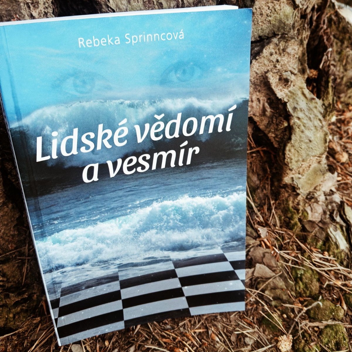 Lidské vědomí a vesmír