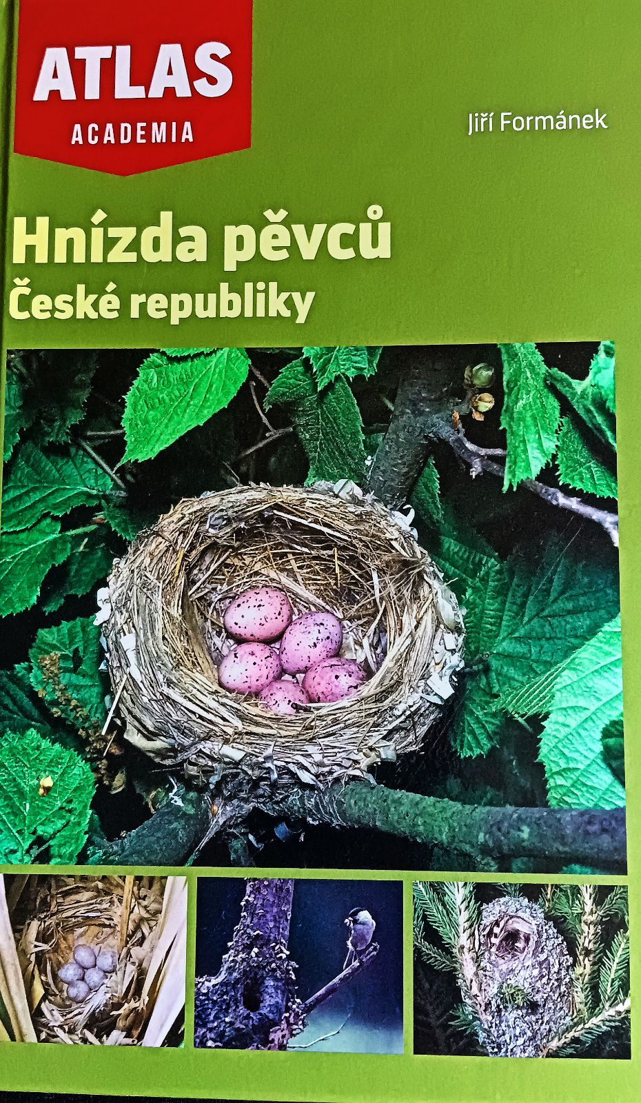 Hnízda pěvců