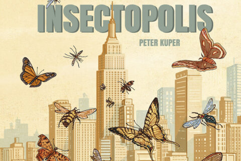 Peter Kuper, klasik komiksového žánru, stvořil úchvatnou obrázkovou fantazii!
