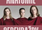 ANATOMIE SEBEVRAŽDY – česká premiéra jedné z nejoceňovanějších her posledních let o tíze minulosti a hle-dání cesty ke štěstí