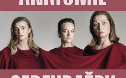 ANATOMIE SEBEVRAŽDY – česká premiéra jedné z nejoceňovanějších her posledních let o tíze minulosti a hle-dání cesty ke štěstí