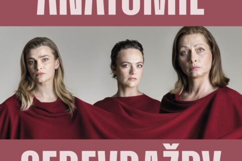 ANATOMIE SEBEVRAŽDY – česká premiéra jedné z nejoceňovanějších her posledních let o tíze minulosti a hle-dání cesty ke štěstí