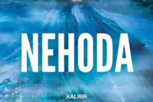 NEHODA není náhoda?