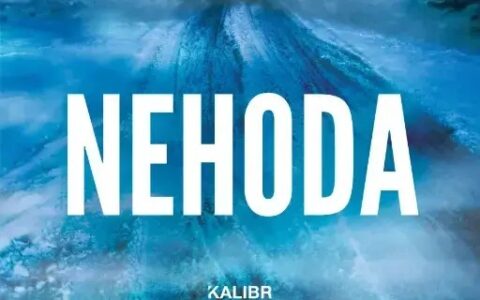 NEHODA není náhoda?